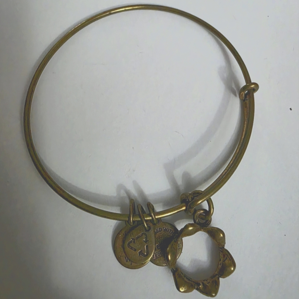 Alex & Ani Crown Charm Bangle